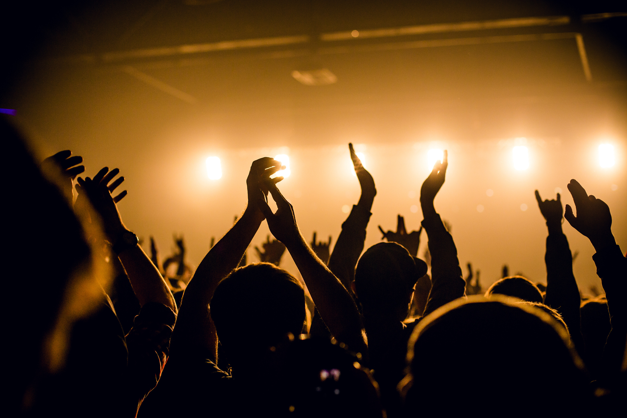 Concert crowd